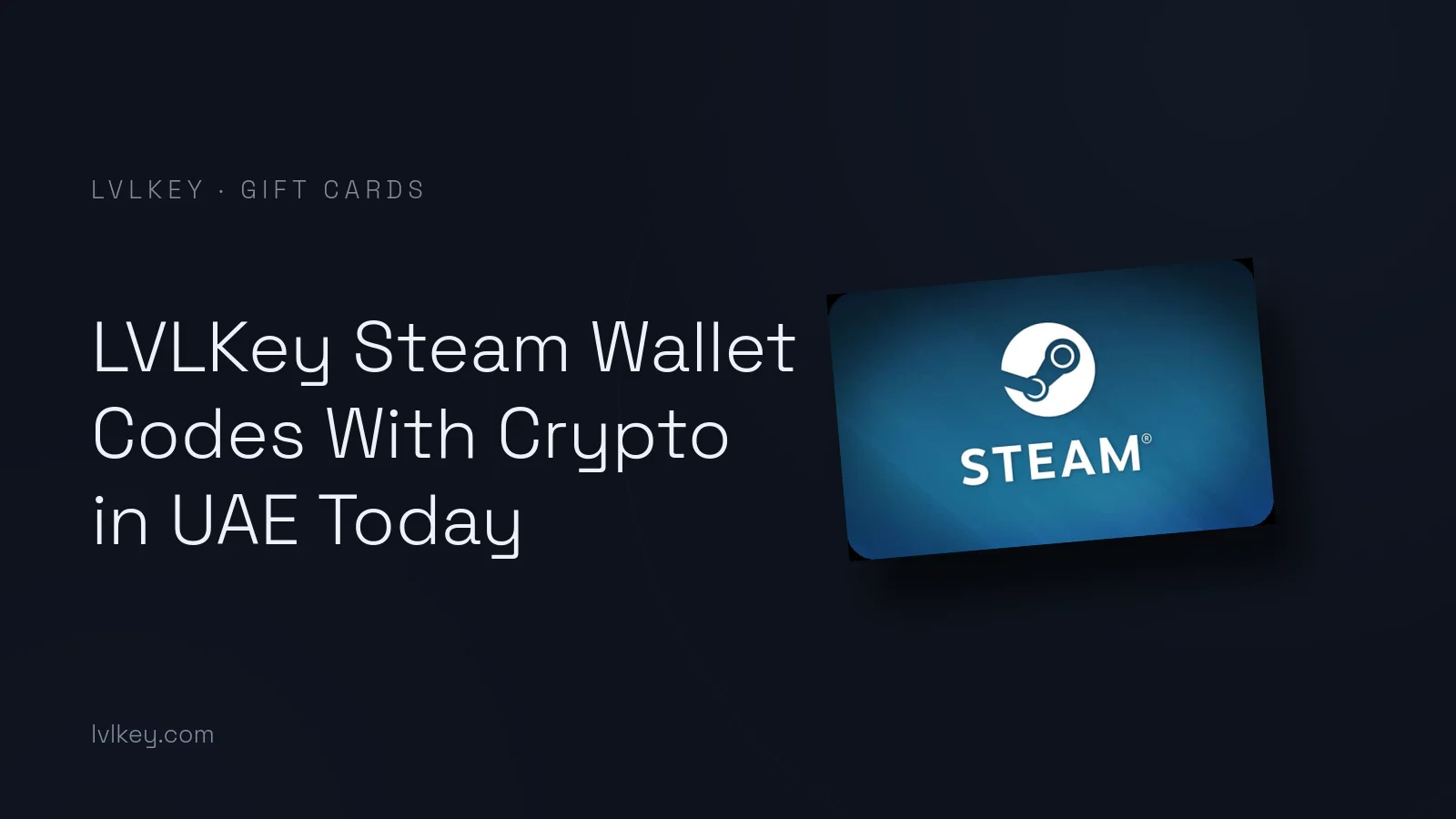 LVLKey Steam Wallet Codes With Crypto in UAE Today