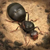 The Ants: Underground Kingdom top-up